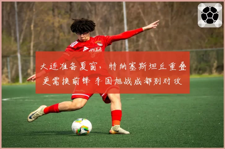 大连准备夏窗,特纳塞斯坦丘重叠 更需换前锋 李国旭战成都别对攻