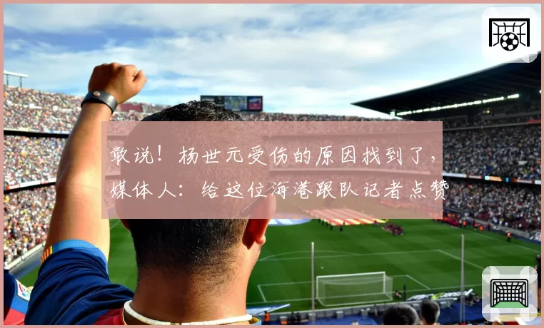 敢说!杨世元受伤的原因找到了,媒体人:给这位海港跟队记者点赞