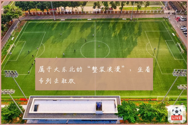 属于大东北的“整装浪漫”,坐着专列去狂欢