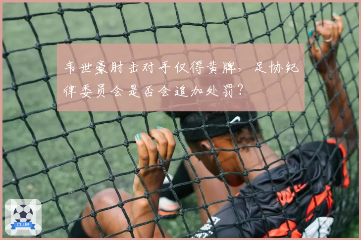韦世豪肘击对手仅得黄牌，足协纪律委员会是否会追加处罚？