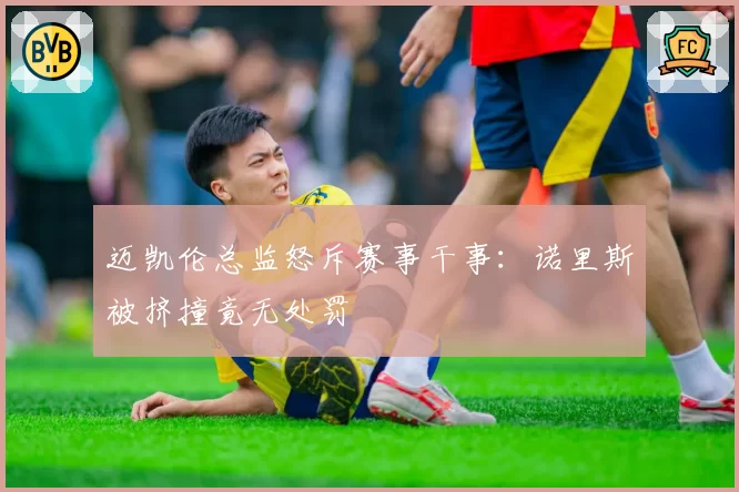 迈凯伦总监怒斥赛事干事：诺里斯被挤撞竟无处罚