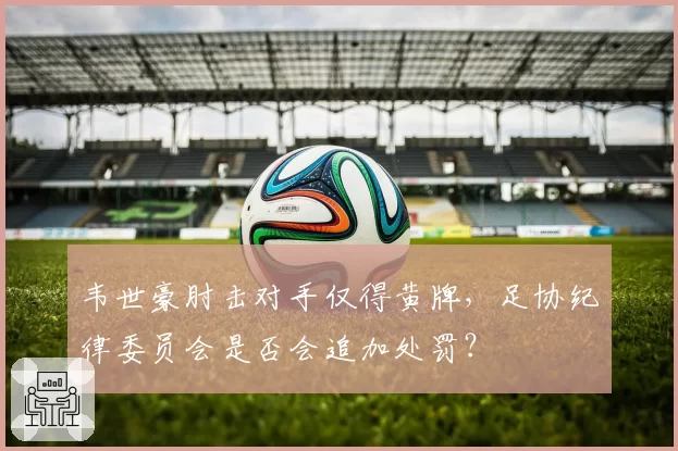 韦世豪肘击对手仅得黄牌，足协纪律委员会是否会追加处罚？